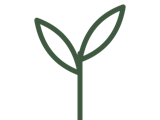 Icon in Blattform